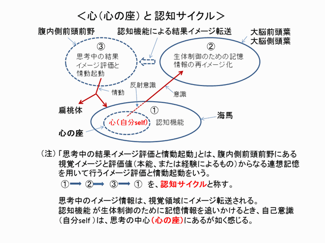 ���F�m�T�C�N����